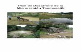 Plan de Desarrollo de la Microrregión Tsomanotikunich.edu.mx/wp-content/uploads/2013/06/LAS-MARGARITAS-2011.pdf · La población total de las 18 localidades que integran la microrregión,