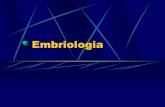 Embriologia - colegioanhanguera.com.br · Embriologia Conceito: É o estudo do crescimento e da diferenciação sofridos por um organismo no curso de seu desenvolvimento, desde o