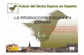 LA PRODUCCIÓN EQUINA EN ESPAÑA - equisan.com · 4) La producción equina exhibe una gran diferenciación de productos, según sus funcionalidades y razas, lo que permite, si se