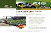 JUNIO 2013 La crisis del café en Mesoamérica - promecafe.netpromecafe.net/documents/Publicaciones/la roya en centroamerica.pdf · permanentes y de largo plazo. Antecedentes y situación