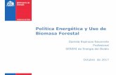 Política Energética y Uso de Biomasa Forestal - infor.cl · Política de uso de la leña y sus derivados para calefacción. Desarrollar el marco regulatorio para la leña y sus