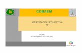Orientación Educativa IV - cobaem.edu.mxcobaem.edu.mx/.../Escolarizado/Cuarto/OrientacionEducativaIV.pdf · orientacion educativa iv 4 DGB/DCA/2010-2011 f) El desarrollo de competencias