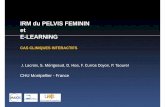 IRM du PELVIS FEMININ et E-LEARNING - pe.sfrnet.orgpe.sfrnet.org/Data/ModuleConsultationPoster/pdf/2009/1/8e65fda5-18... · mise en situation réelle (examen complet disponible en