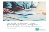 National Ambulatory Care Reporting System Open-Year Data ... · National Ambulatory Care Reporting System Open-Year Data Quality Test Specifications, 2018– 2019 . 6 . Open-Year