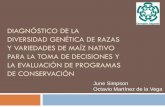 DIAGNÓSTICO DE LA DIVERSIDAD GENÉTICA DE RAZAS Y ... · diagnÓstico de la diversidad genÉtica de razas y variedades de maÍz nativo para la toma de decisiones y la evaluaciÓn