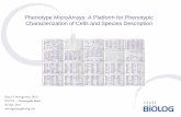 Phenotype MicroArrays: A Platform for Phenotypic ... · Phenotype MicroArrays: A Platform for Phenotypic Characterization of Cells and Species Description Stacy O. Montgomery, Ph.D.