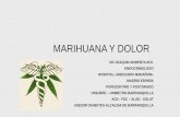 MARIHUANA Y DOLOR - Asociación Colombiana de … · aprobacion del uso terapeutico de la marihuana . marihuana y cerebro 2011 ... usada recreativamente y como medicamento desde la