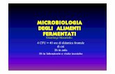 MICROBIOLOGIA DEGLI ALIMENTI FERMENTATI - wpage.unina.it/giamauri/Lucidi/   MICROBIOLOGIA DEGLI ALIMENTI