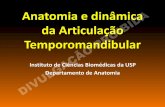 Anatomia e dinâmica da articulação temporomandibular · Problemas oclusais lesões na ATM ...