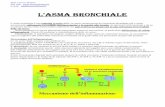 L’ASMA BRONCHIALE - lorenzobettoni.it · Dott. Lorenzo Bettoni Sito web: E-mail: info@lorenzobettoni.it L’ASMA BRONCHIALE L’asma bronchiale è una malattia cronica delle vie