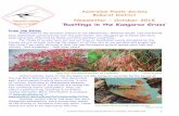 Rustlings in the Kangaroo Grass - Australian Native Plants Ballarat October 2016.pdf · ssp elegans, Grevillea alpina, Grevillea aquifolium, Grevillea arenaria, Grevillea ‘Billy
