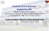 Universidad Abierta Interamericana - Dr. RAFAEL PORCILE · – Sistema renina-angiotensina ... El gradiente osmótico existente en la médula renal, ... reabsorción de agua a partir
