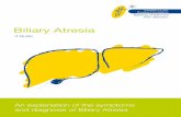 Biliary atresia : a guide - .What causes biliary atresia? The cause of biliary atresia is unknown
