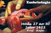 Embriologia - Anglo Sistema de Ensino · Embriologia:Embriologia: estuda o desenvolvimento do embrião, da formação do zigoto ao nascimento. A quantidade e a distribuição determinam: