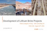 Development of Lithium Brine Projects - SRK · Development of Lithium Brine Projects pcortegoso@srk.com . Lithium Deposits Worldwide . ... • Include ex-situ recovery factors which