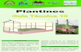 Plantines - JICA · DE PLANTINES Selección de híbridos o variedades adaptados a ... Plantines, con el propósito de sustituir a la regadera para no estresar la planta del golpe