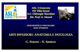 ARTI INFERIORI: ANATOMIA E PATOLOGIA G. Simoni - AMD · Anatomia parete • Intima: endotelio • Media: cellule muscolari liscie • Avventizia: fibre collagene ed elastiche Spessore