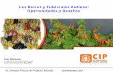 Las Raíces y Tubérculos Andinos: Oportunidades y Desafíos Raices y Tuberculos Andinos... · En el mundo existen mas de 1,200 solicitudes de patentes Cual es el principio activo