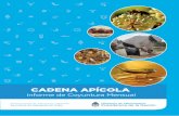 CADENA APÍCOLA - Alimentos Argentinos - … DE LA MIEL Las ventasexternas en el período enero-mayo del2016 dieron comoresultado un volumen de miela granel comercializado de 30.342