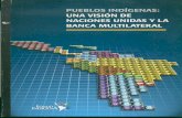 ASUNTOS INDIGENAS ANA - sipi.infosipi.info/repositorio/archivo/pdf3.pdf · Pronunciamientos, propuestas y debates sobre el Desarrollo Indígena y el “Derecho al Desarrollo” en