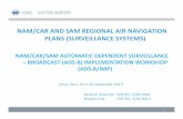 NAM/CAR AND SAM REGIONAL AIR NAVIGATION PLANS ... EN NAMCARSAM Air... · NAM/CAR AND SAM REGIONAL AIR NAVIGATION PLANS (SURVEILLANCE SYSTEMS) ... code management is a key element