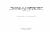 Evaluación del uso de propóleo (Propolis) y romero ...bdigital.zamorano.edu/bitstream/11036/1006/1/AGI-2012-T032.pdf · bromelina en una salmuera que contenía 0.5% de tripolifosfato