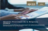 Gestión Financiera de la Empresa Online - ieb.es · Gestión Financiera de la Empresa Online Dada la importancia que la gestión empresarial ha ido adquiriendo en la situación económica