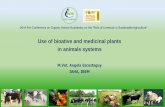 Use of bioative and medicinal plants in animals systems - … · Use of bioative and medicinal plants in animals systems M.Vet. Angela Escosteguy IAHA, IBEM ... Haemonchus spp, Cooperia