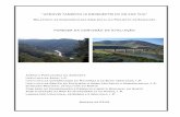 “APROVEITAMENTO HIDROELÉCTRICO DE FOZ TUA” …siaia.apambiente.pt/AIADOC/RECAPE350/parecerca_366_agosto... · afluente da margem direita do rio Douro, junto à foz do rio Tua,