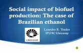 Social impact of biofuel production: The case of Brazilian ...mageep.wustl.edu/Symposium2012/Talks/tessler.pdf · Social impact of biofuel production SBiofuel production has a strong