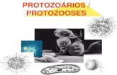 PROTOZOÁRIOS E PROTOZOOSES - Ensino que Constrói ... · PROTOZOÁRIOS Designação coletiva para unicelulares eucariontes heterótrofos (Reino Protista) que obtêm seus alimentos
