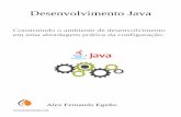 Desenvolvimento Java - commitlinux.com.br · Java avançado direto ao ponto Mini-biografia Alex Fernando Egidio, desenvolvedor e analista de sistemas em Java, graduado em analise