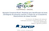 Agropolo Campinas-Brasil: Roadmap para identificação de ...fapesp.br/eventos/2017/pppbio/carbonell.pdf · Agropolo Campinas-Brasil: Roadmap para identificação de áreas ... melhor