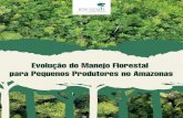 Evolução do Manejo Florestal - idesam.org · ... o manejo florestal sustentável em pequena escala ... de Pequena Escala – PMFSPE e de Plano de ... da evolução do manejo florestal