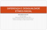 DIFERENÇA E DESIGUALDADE ÉTNICO-RACIAL · DIFERENÇA E DESIGUALDADE ÉTNICO-RACIAL . ... racial, seja no plano moral, estético, físico ou intelectual. As atitudes ... No Brasil,