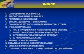 Apresentação do PowerPoint - studioorazi.net · indice dati generali sul brasile perche’ investire in brasile potenziale industriale specializzazione territoriale commercio estero