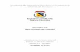 APLICABILIDAD DEL MARKETING POLÍTICO PARA LA ALTA … · aplicabilidad del marketing polÍtico para la alta gerencia en el sector pÚblico colombiano presentado por: marÍa catalina