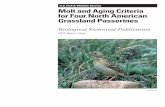 U.S. Fish & Wildlife Service Molt and Aging Criteria for ... · iv Molt and Aging Criteria for Four North American Grassland Passerines List of Figures Figure 1. . Molt patterns among