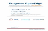 OpenEdge 11: ключевые ... - progress-tech.ru · В OpenEdge 11.1 разработчики приложений могут открывать файлы в Progress Developer