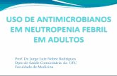 Prof. Dr. Jorge Luiz Nobre Rodrigues Dpto de Saúde ... Médica em Neutropenia... · Princípio: A maioria dos “guidelines” de neutropenia febril recomenda iniciar antifúngico