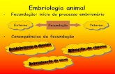 Consequências da fecundação - upvix.com.br · Embriologia animal • Fecundação: início do processo embrionário • Consequências da fecundação Externa Fecundação Interna