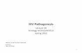 018 W3310 12 - virology blog · Retroviridae • Orthoretrovirinae " Alpharetrovirus " Betaretrovirus " Gammaretrovirus " Deltaretrovirus ‣ HTLVU1,’HTLVU2,’HTLVU3 " Epsilonretrovirus