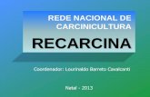REDE NACIONAL DE CARCINICULTURA RECARCINAabccam.com.br/wp-content/uploads/2013/06/palestra magna... · 2013-11-08 · do Ceará –UFC João Mafaldo de Oliveira Neto Continuação...