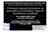 Principais doenças bacterianas na piscicultura na Amazônia ... · Controle sanitário rotineiro dos estoques de peixes em cultivo cultivo -- ideal: análise não destrutiva dos