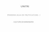 UNIVERSIDADE PRESIDENTE ANTÔNIO CARLOS · Fruticultura Tropical: cultura da bananeira, cultura da mangueira, cultura do mamoeiro e cultura do maracujazeiro. Produção nacional,