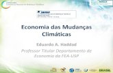 Economia das Mudanças Climáticas - fapesp.br · • As tarifas compensatórias de carbono dos países desenvolvidos pouco afetam a economia brasileira em termos agregados em comparação