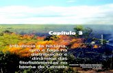 Solos e paisagem - Ministério do Meio Ambiente 3.pdf · Brasília, DF. Raimundo Paulo Barros Henriques ... Existem outras formações vegetais no bioma do Cerrado, com estruturas