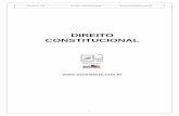 DIREITO CONSTITUCIONAL - contilnet.com.brCurso_Tecnico/Instrutor Rodrigo/Diversos... · sistemático das normas que integram a constituição • Corresponde à base, ao fundamento