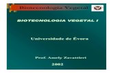 Biotecnologia Vegetal - evunix.uevora.ptevunix.uevora.pt/%7Ezavattieri/Micropropaga%E7%E3o.pdf · Multiplicaçªo Vegetativa por gomos (rebentos) Axilares. A- O explant pode conter