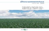 Documentos - Infoteca-e: Página inicial§ão O corredor de exportação de grãos, oriundos do Brasil Central, propicia boa oportunidade de desenvolvimento para o Estado do Amapá,